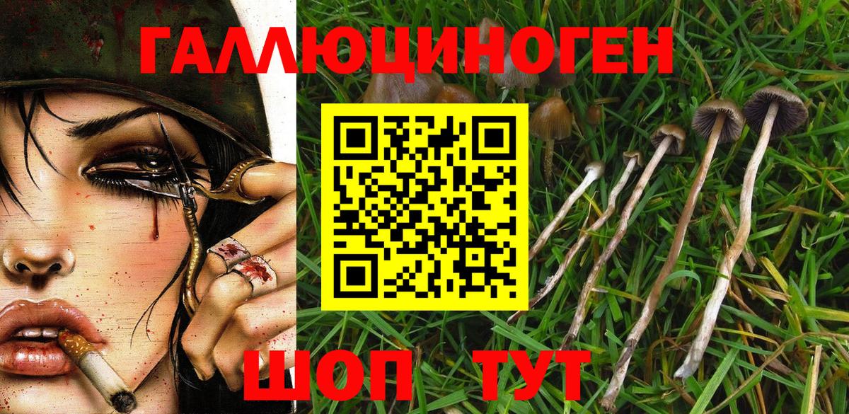 Псилоцибиновые грибы ЛСД Реж