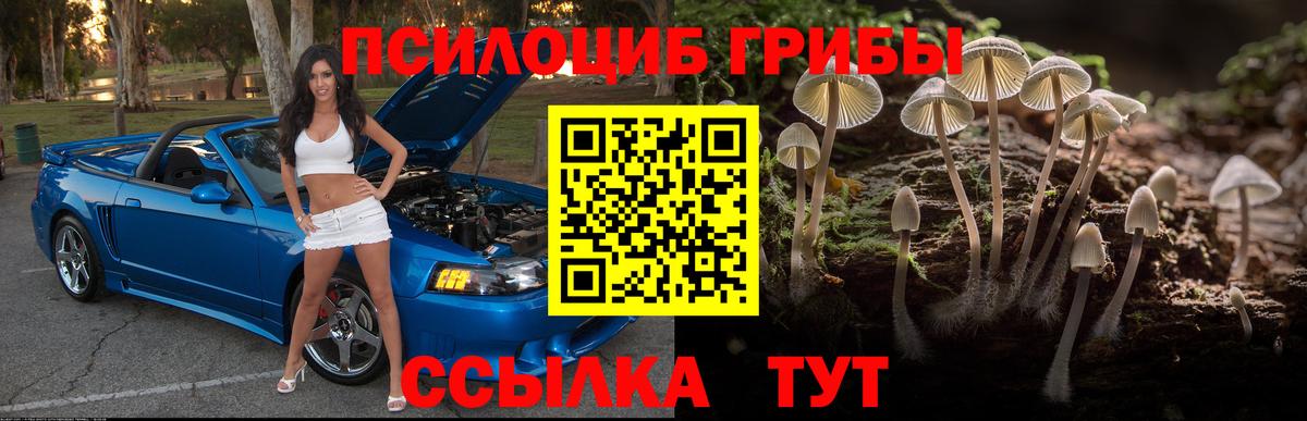 Псилоцибиновые грибы GOLDEN TEACHER  Галлюциногенные грибы мицелий  Вход с VPN  Реж 